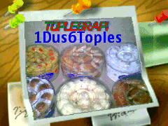 Toplesrapi